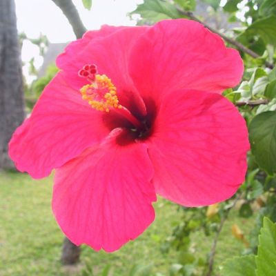 Polinesia-Rangiroa-012