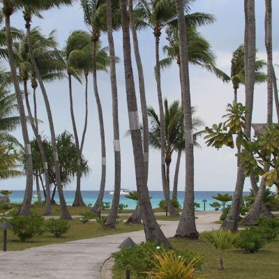Polinesia-Rangiroa-014