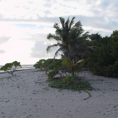 Polinesia-Rangiroa-024