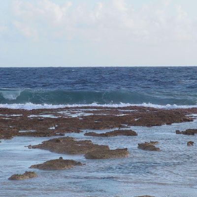 Polinesia-Rangiroa-025