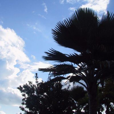 Polinesia-Rangiroa-027
