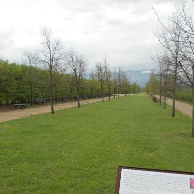 Reggia-di-Venaria015