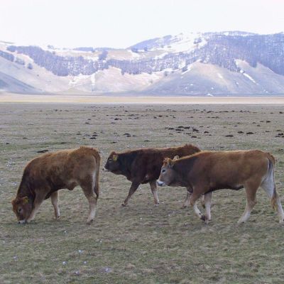 Foto-Umbria-Parco dei Sibillini-032