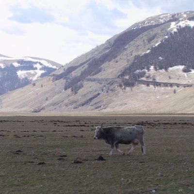 Foto-Umbria-Parco dei Sibillini-033