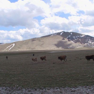Foto-Umbria-Parco dei Sibillini-034