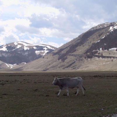 Foto-Umbria-Parco dei Sibillini-035