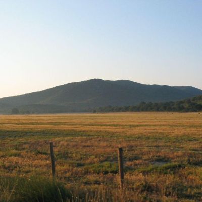 Maremma-Butteri-Spergolaia-003