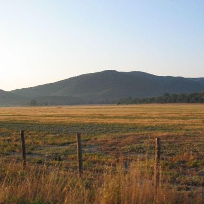 Maremma-Butteri-Spergolaia-004