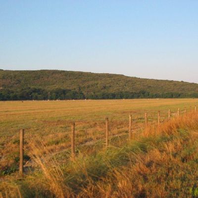 Maremma-Butteri-Spergolaia-005