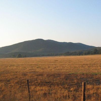 Maremma-Butteri-Spergolaia-006