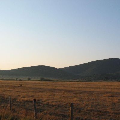 Maremma-Butteri-Spergolaia-008