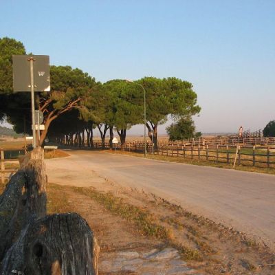 Maremma-Butteri-Spergolaia-014