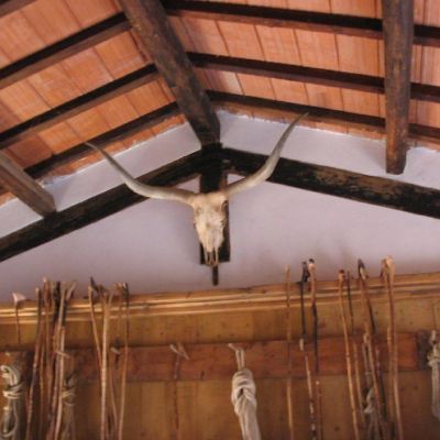 Maremma-Butteri-Spergolaia-029