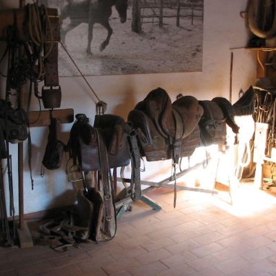 Maremma-Butteri-Spergolaia-030