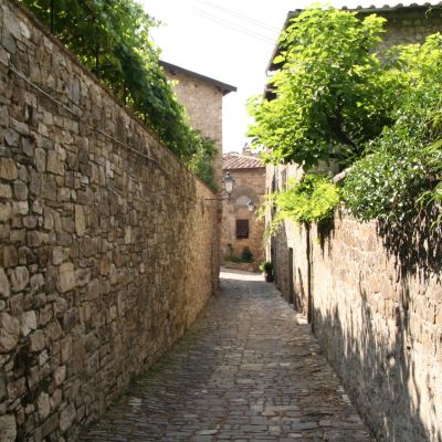 MonteFioralle-001