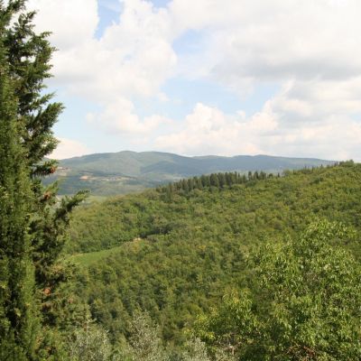MonteFioralle-013