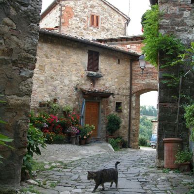 MonteFioralle-020