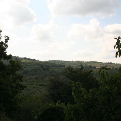 MonteFioralle-022