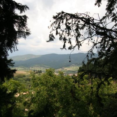 MonteFioralle-027