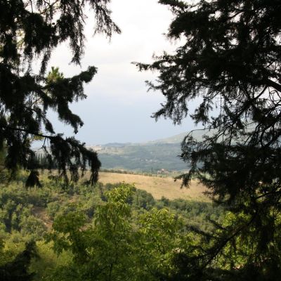 MonteFioralle-028
