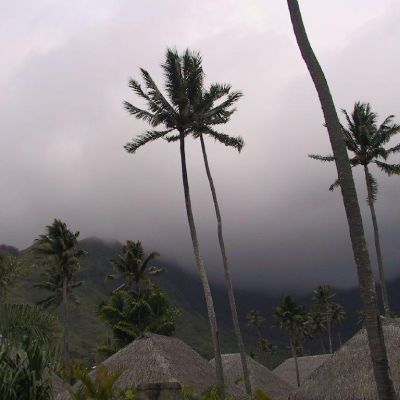 Moorea-Polinesia-002