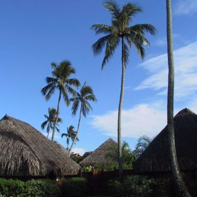 Moorea-Polinesia-012