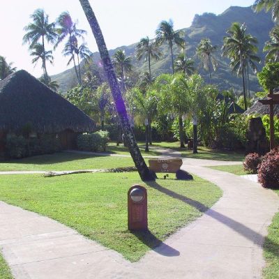 Moorea-Polinesia-014