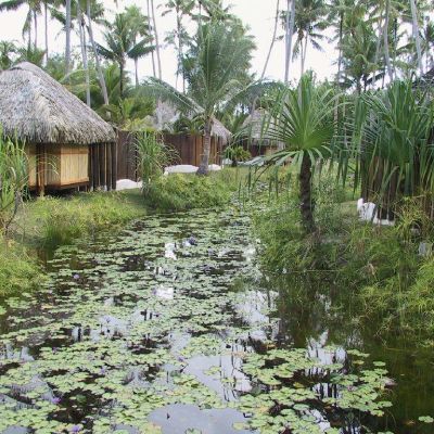 Moorea-Polinesia-015