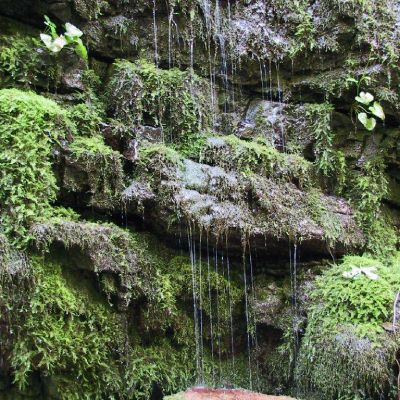 Orrido-Di-Botri-056