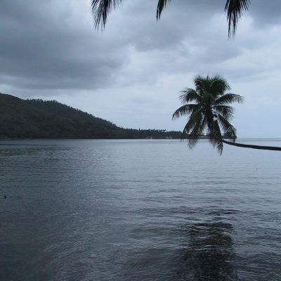 Polinesia-Moorea-003