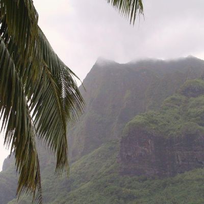 Polinesia-Moorea-004