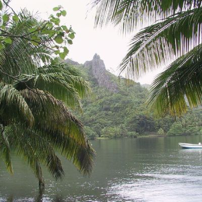 Polinesia-Moorea-010