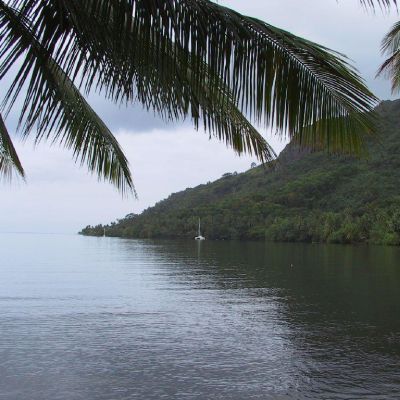 Polinesia-Moorea-011