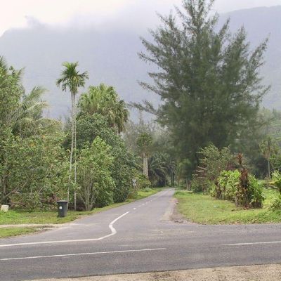 Polinesia-Moorea-016
