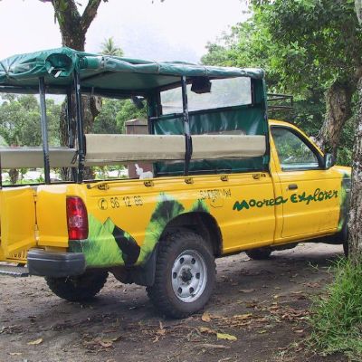 Polinesia-Moorea-019