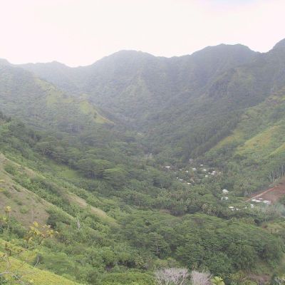 Polinesia-Moorea-024