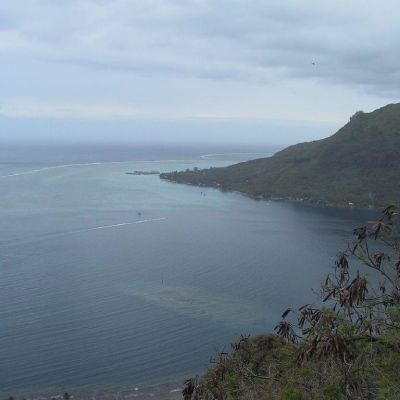 Polinesia-Moorea-028
