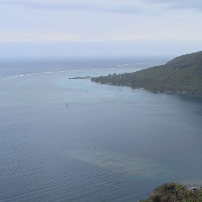 Polinesia-Moorea-033