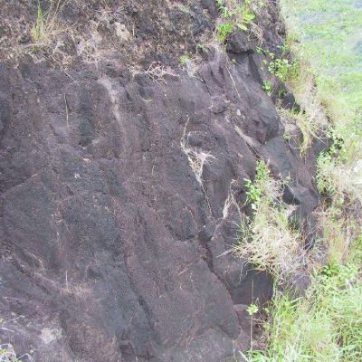 Polinesia-Moorea-042