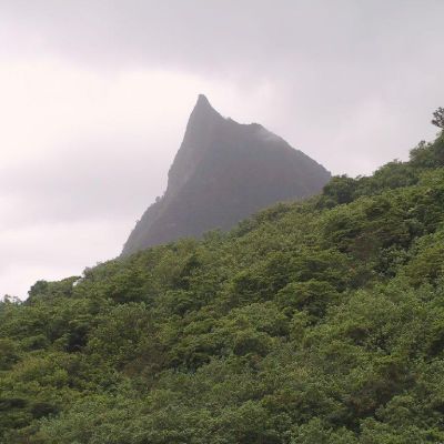 Polinesia-Moorea-051