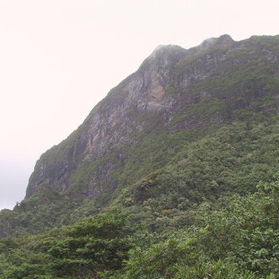 Polinesia-Moorea-052