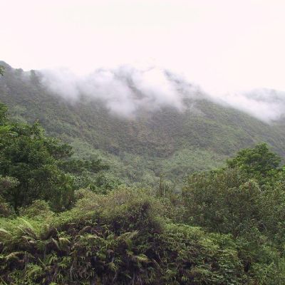 Polinesia-Moorea-054