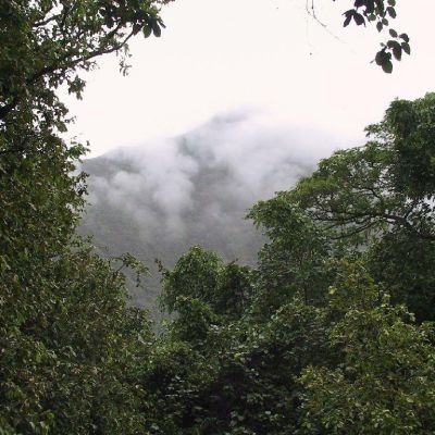Polinesia-Moorea-062
