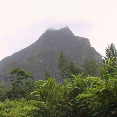 Polinesia-Moorea-079