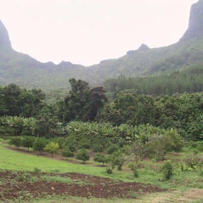 Polinesia-Moorea-087