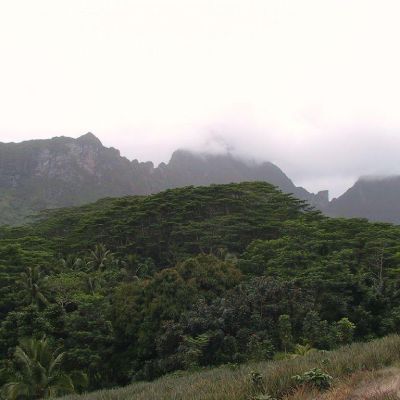 Polinesia-Moorea-092
