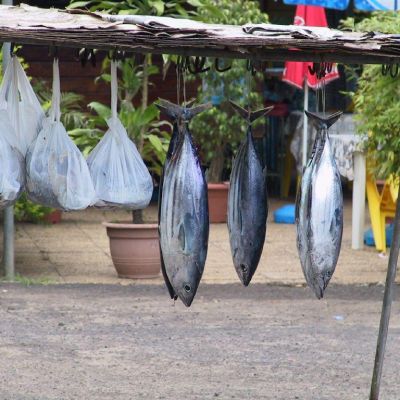 Polinesia-Moorea-096