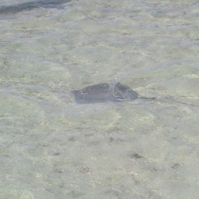 Polinesia-Rangiroa-Archipels-042