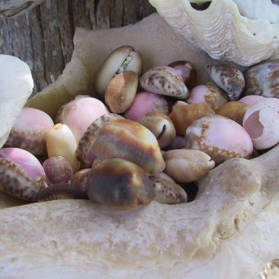 Polinesia-Rangiroa-Archipels-048