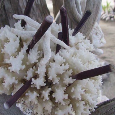 Polinesia-Rangiroa-Archipels-049